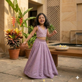 Lavender Dreams: Mul Chanderi Embroidered Lehenga Set